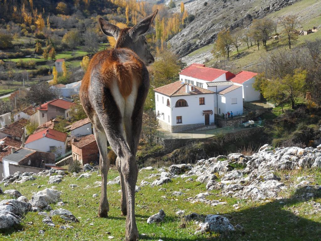 Casa Rural El Perchel Понтонес Номер фото